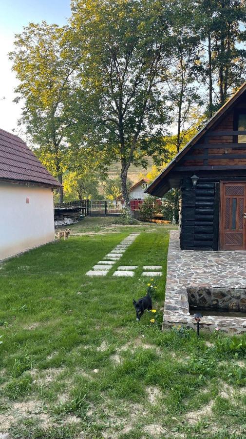 Cabana Paulina Chiscau Exteriör bild